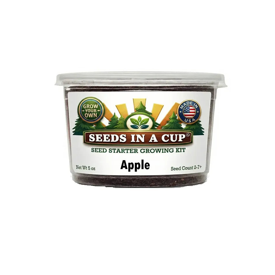 Seeds in a Cup apple seed starter growing kit on a white background popular kit for teacher and parents 