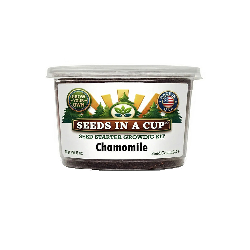Seeds In A Cup Chamomile (Matricaria chamomilla) Grow Kit - Complete seed starter with recyclable planter, non-GMO seeds, and real potting soil. Hand-assembled in Cleveland, Ohio, USA.