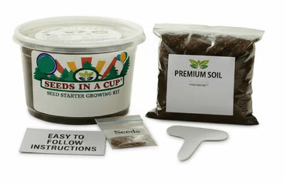 Complete Seeds In A Cup Cauliflower growing system: recyclable planter, premium soil, and non-GMO Brassica oleracea var. botrytis seeds. Indoor seed starter kit manufactured in Cleveland, Ohio, USA.