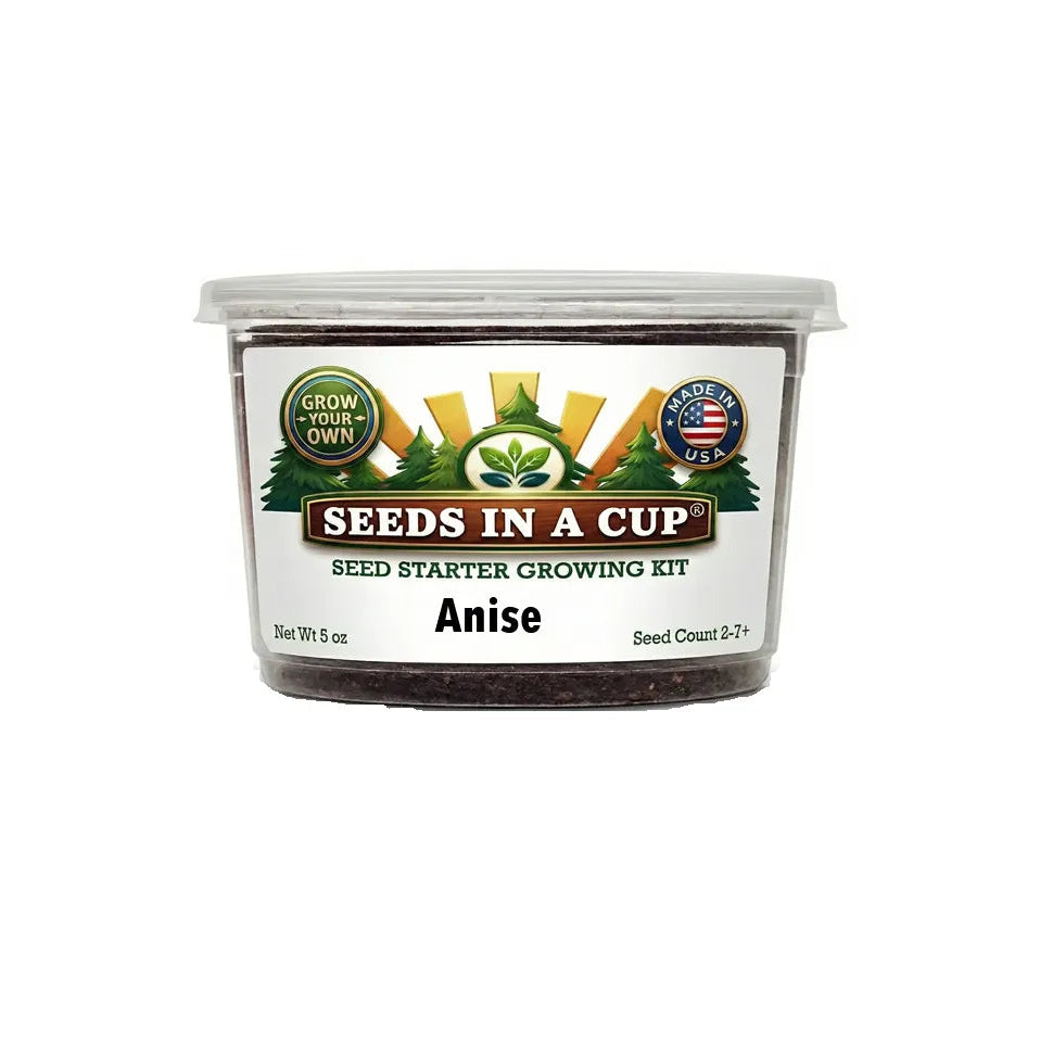 Seeds In A Cup Anise (Pimpinella anisum) Grow Kit - Complete seed starter with recyclable planter, non-GMO seeds, and real potting soil. Hand-assembled in Cleveland, Ohio, USA.