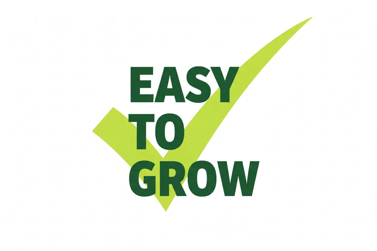 Vegetable & Herb Grow Kits All-in-One Indoor & Outdoor Garden Starter Kit