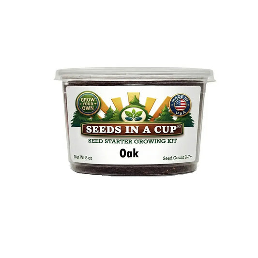 Seeds in a Cup oak seed starter growing kit on a white background