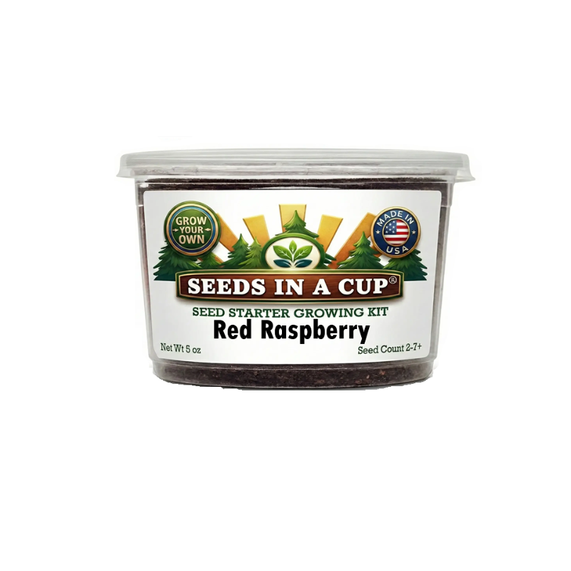 Seeds in a Cup red raspberry growing kit  that comes with real soil, non-gmo seeds, recyclable planter and instructions. great gift. great stem activity 