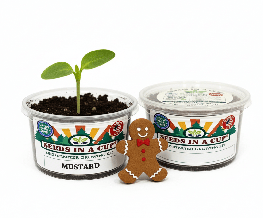 Seeds In A Cup grow kit components displayed: non-GMO seeds, real loose potting soil, recyclable planter with clear humidity lid, and detailed growing instructions.