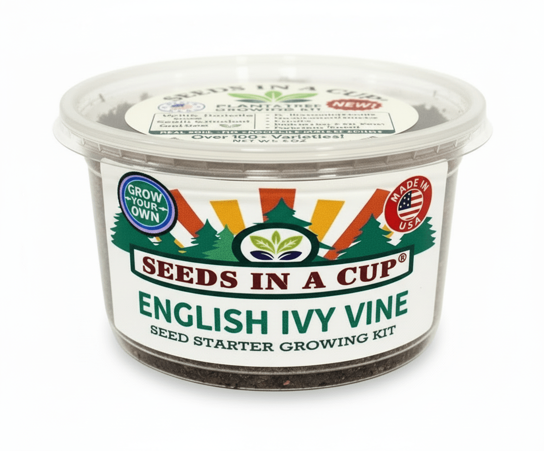 Seeds In A Cup Cumin grow kit with all included contents: non-GMO seeds, real loose potting soil, recyclable planter, and step-by-step growing instructions. Made in Cleveland, Ohio.