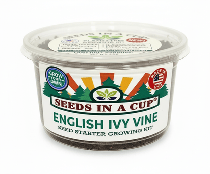 Seeds In A Cup Cumin grow kit with all included contents: non-GMO seeds, real loose potting soil, recyclable planter, and step-by-step growing instructions. Made in Cleveland, Ohio.