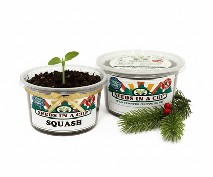 Seeds In A Cup grow kit components displayed: non-GMO seeds, real loose potting soil, recyclable planter with clear humidity lid, and detailed growing instructions.
