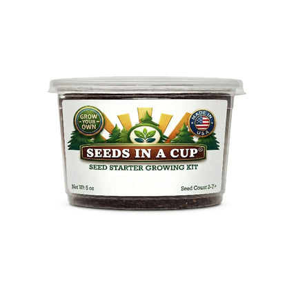 American Elm Tree (Ulmus americana) plant thriving after transplant from Seeds In A Cup starter kit. Proof of high germination rates and 100% Growth Guarantee quality.