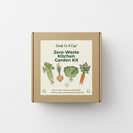 Zero-Waste Kitchen Box